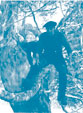 Image de la fiche